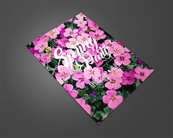 design a creative poster or flyer in 24 hours