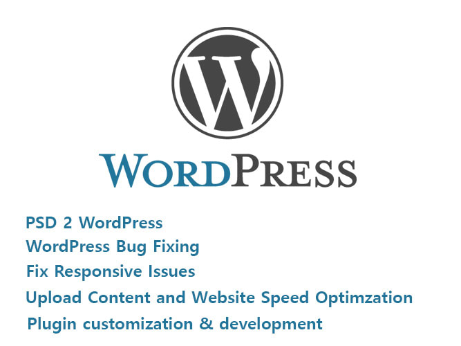 fix any issue of website with 24 hours
