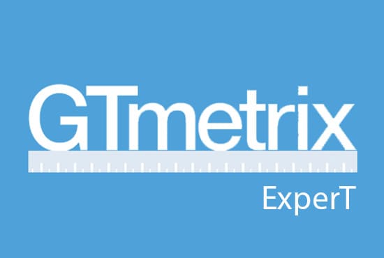 do speed optimization with insight or gtmetrix