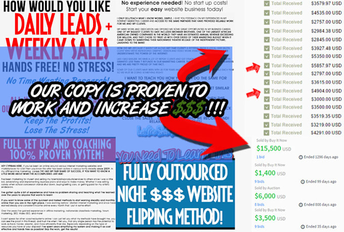 write you amazing sales copy for your website, offer, press release, etc