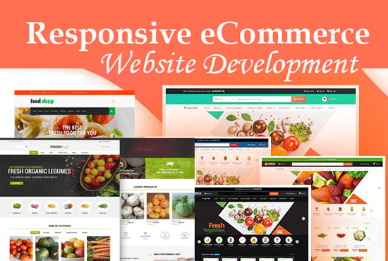 build a professional ecommerce website