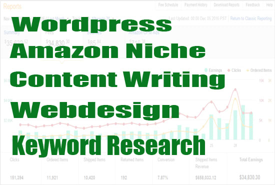 amazon niche site building service