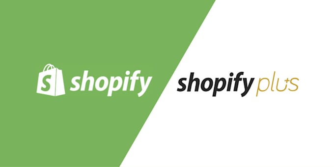 design shopify store, shopify website