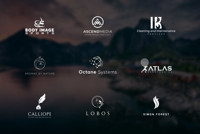 I will design 2 modern minimalist logo for your business - Image 3