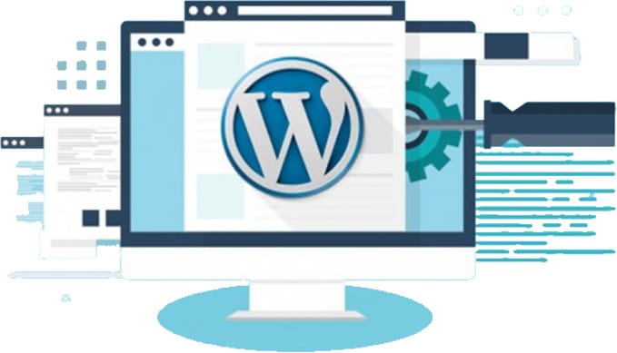 fix your wp error and customization