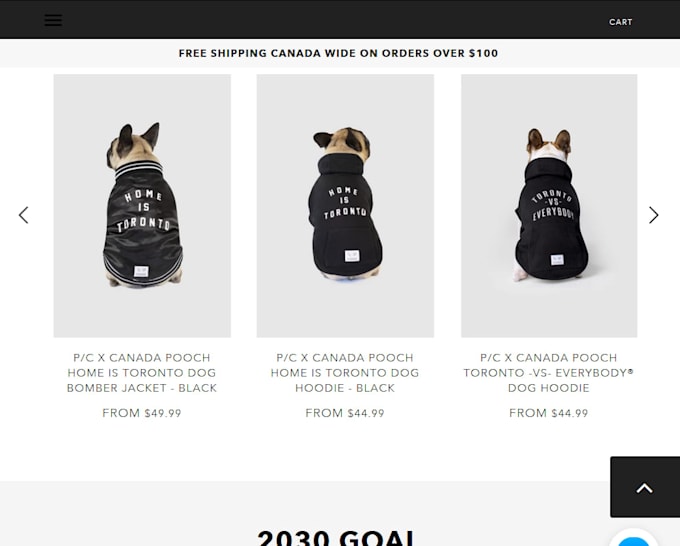 Setup 10k Dollars Per Month Shopify Dropshipping Store By Skymori