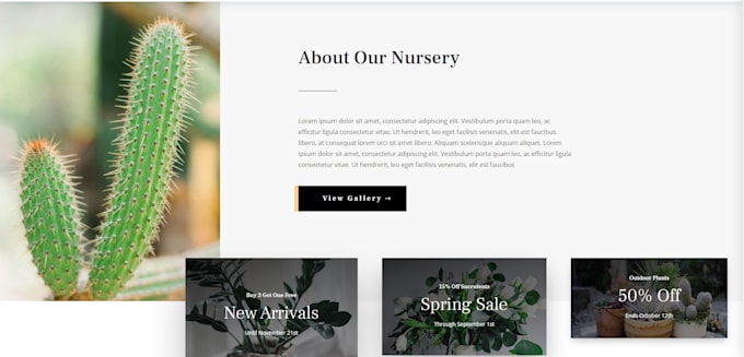 diseño tu tienda online, o tu pagina web de servicios