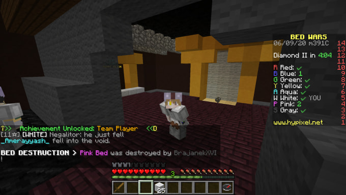 Play Minecraft With You On Any Server By Diller25 Fiverr