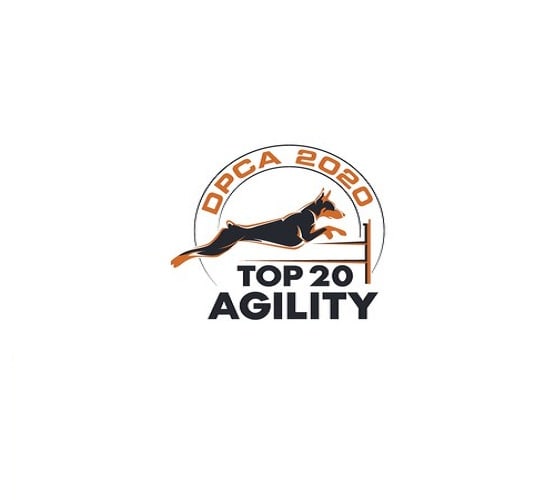 Design dog agility logo for top dobermans in the country by