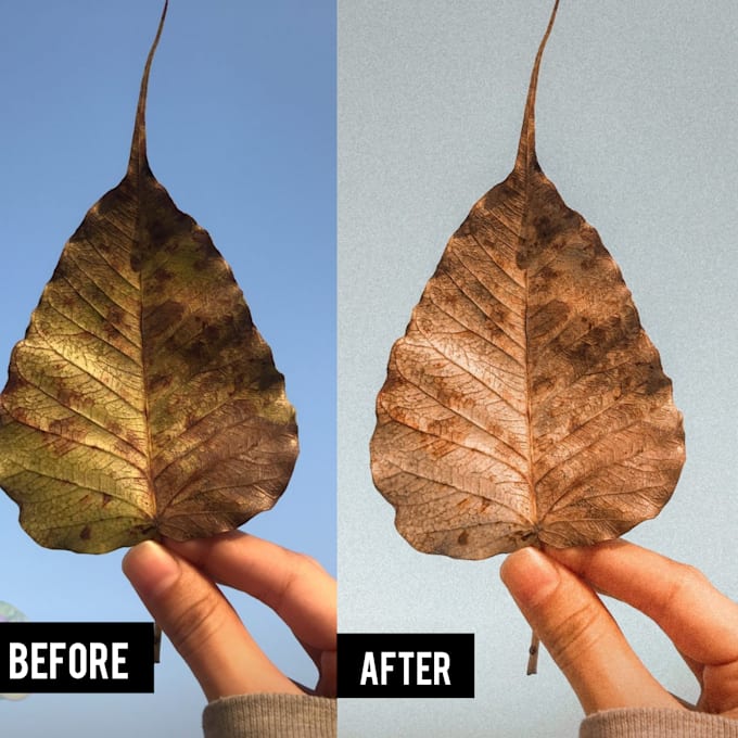 Edit moody pictures for your instagram feed by Zainabijazz Fiverr