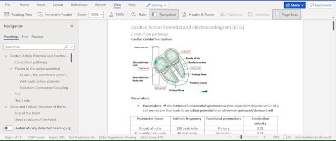 provide human physiology lecture notes