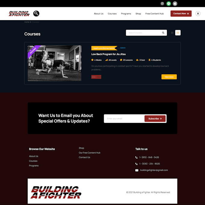 fix wordpress issues or bugs, woocommerce errors or CSS problems within 2h