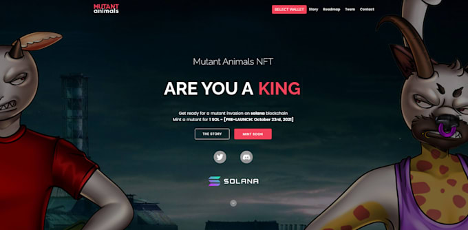 create nft website, nft marketplace, nft mint engine for you