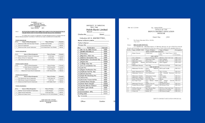 type image to text, copy paste, data entry in word excel