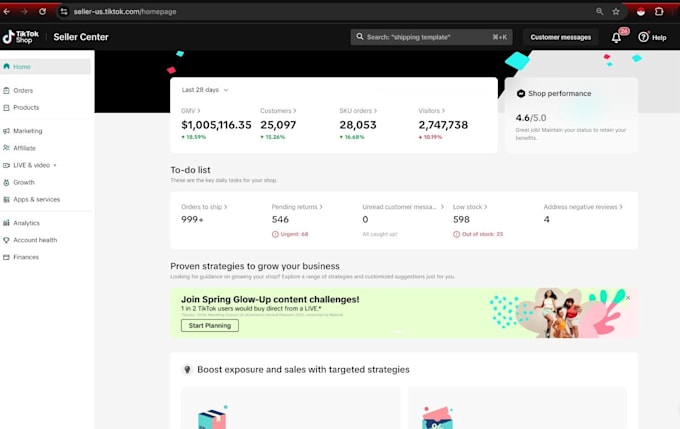 tiktok shop setup, tiktok affiliate marketing, ads and dropshipping for brand