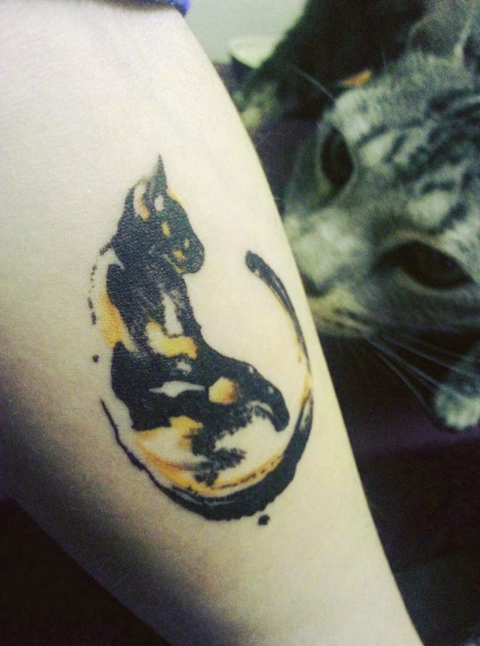 Cat Temporary Tattoos  katebroughton