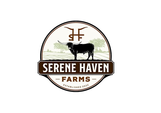 design awesome texas ranch logo