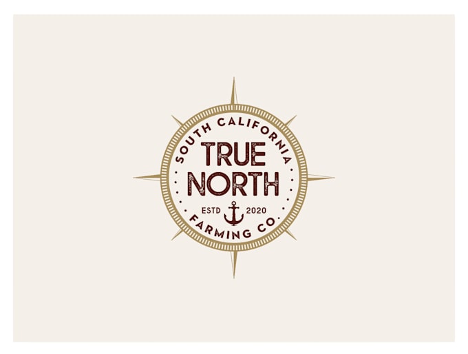 create a versatile unique professional logo design