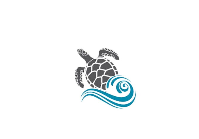 design high quality turtle logo with satisfaction guaranteed