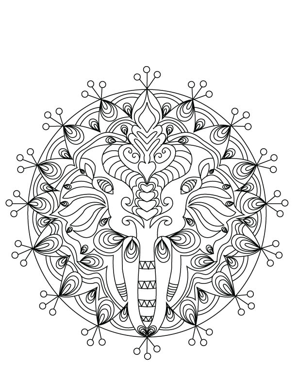 Create adult coloring book designs by Maliharohail Fiverr