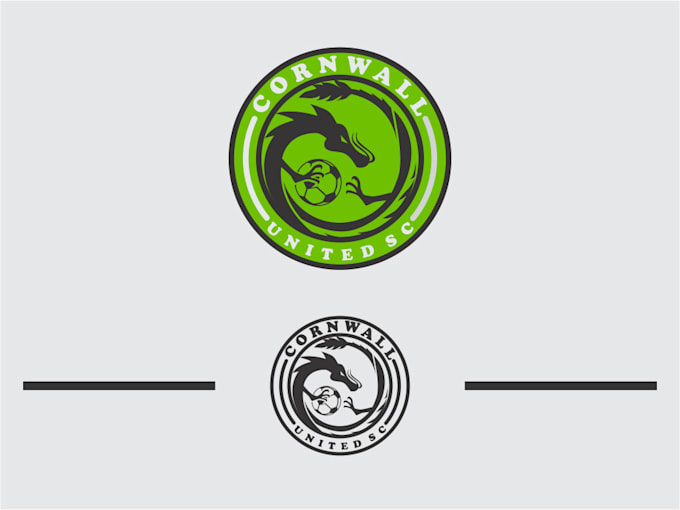do a professional modern football, the dragon logo