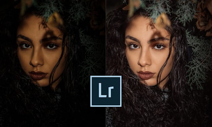 do bulk photo editing in lightroom