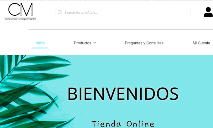 design, redesign, clone, develop wordpress website elementor
