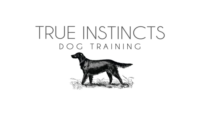 True instincts dog training sales