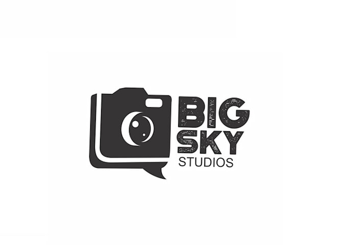 create a unique, contemporary camera business logo within 24 hours