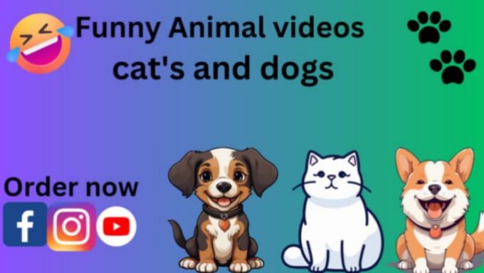 Funny animal hot sale videos for children