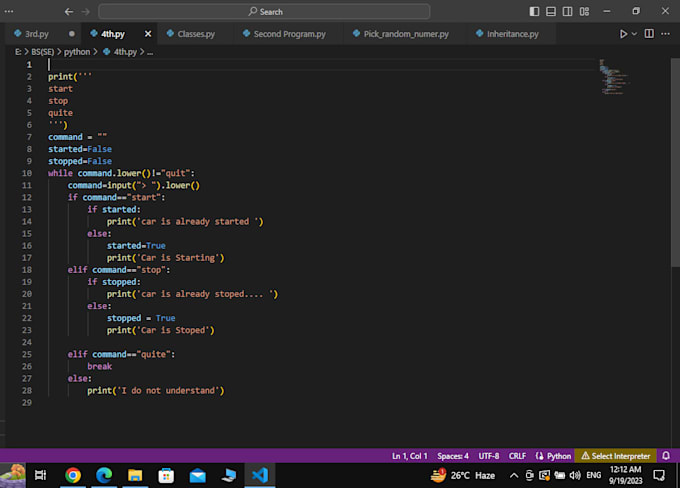 provide python programming services