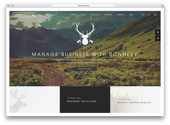 provide you with ronneby theme