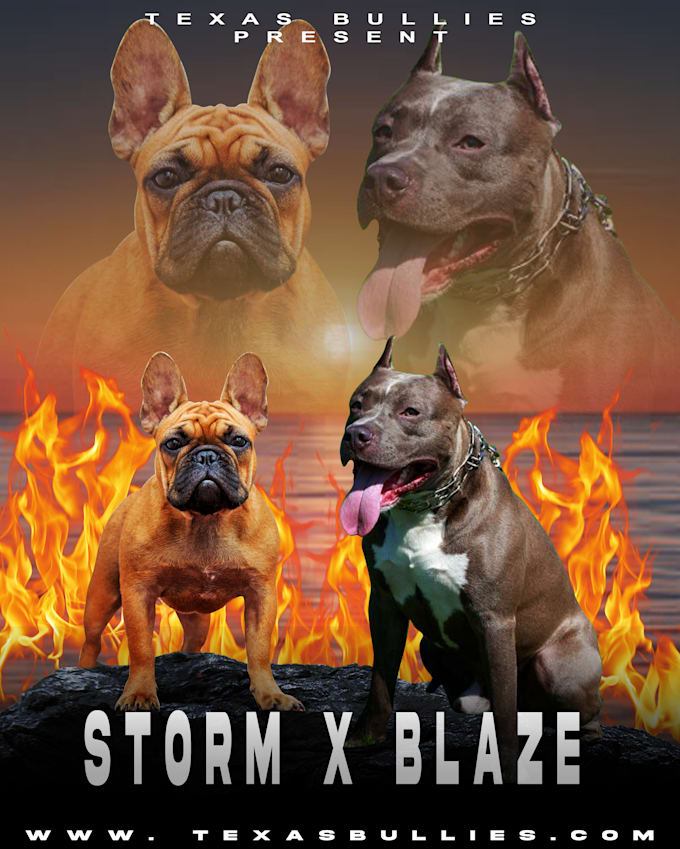 Do unique dog breeding banner for your dog kennel or bullies by Ludfi