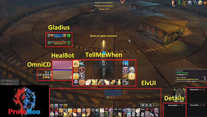 coach you in pvp arena playing, with mglad heal or dd, wow pvp arena mop