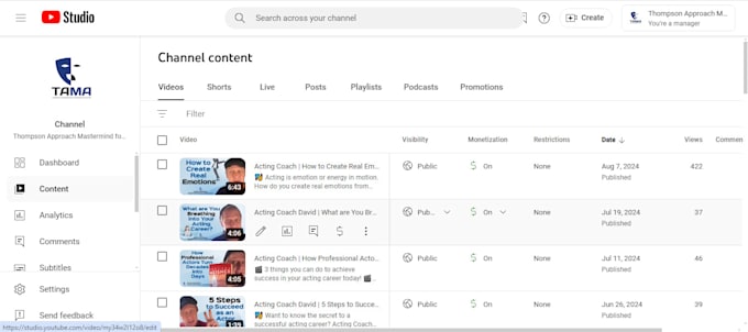 best youtube video SEO for ranking organically