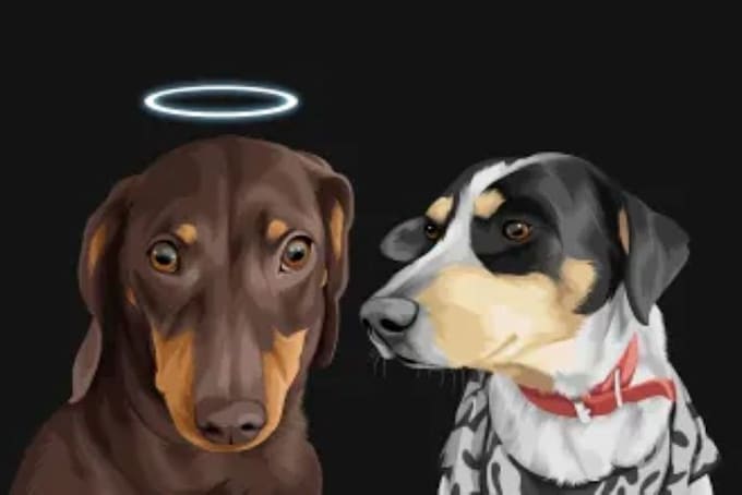 do custom pet portrait