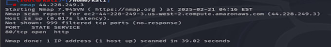use nmap for network scanning and network traffic analysis