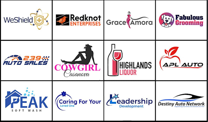 do custom unique and expert logo design with copyrights
