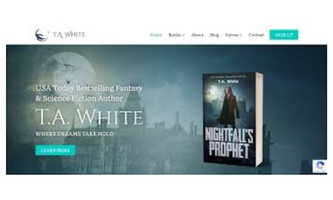 design ecommerce author website design, ebook landing page, ebook shopify store