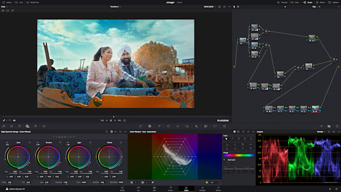 Do professional video color grading, color correction, cinematic looks ...