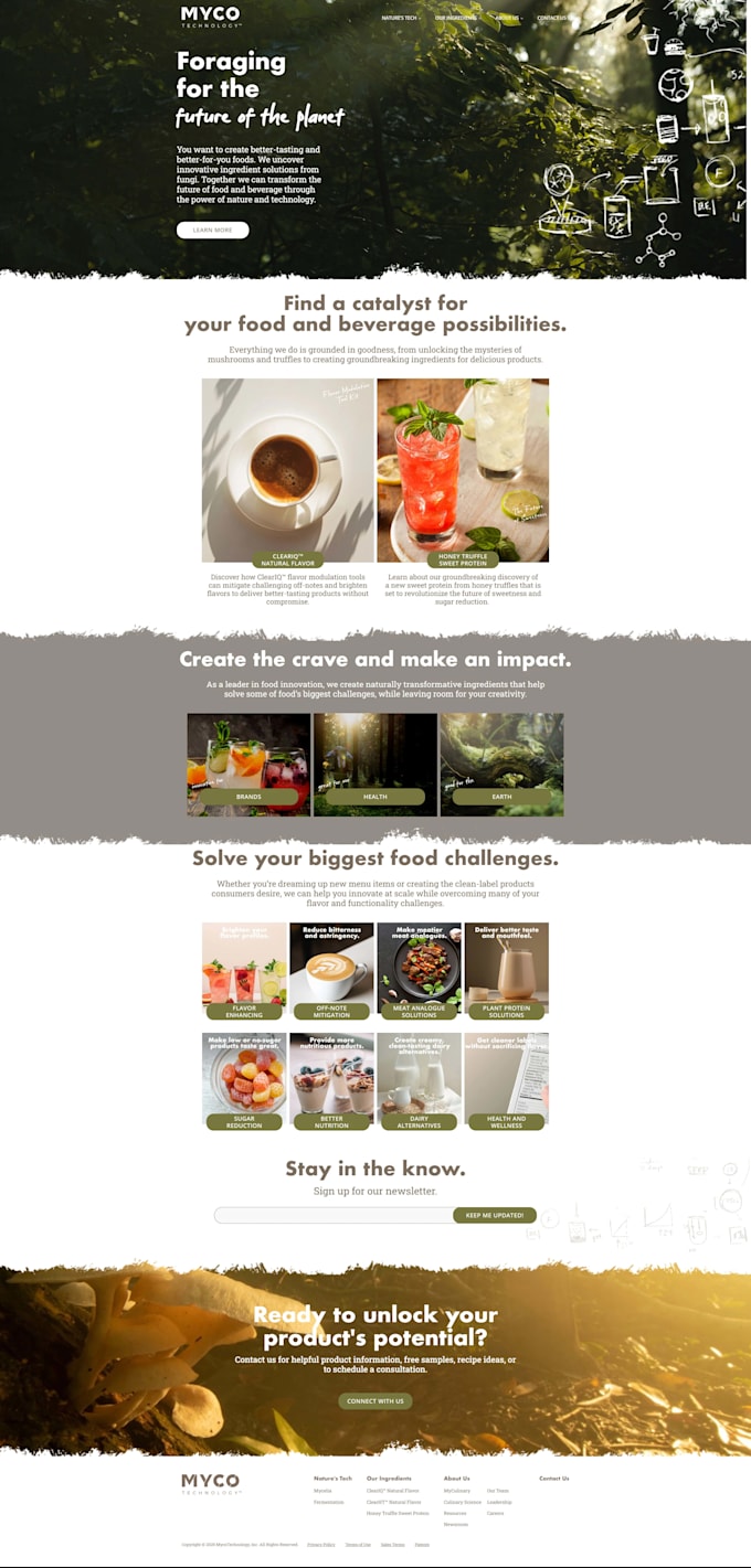 providing comprehensive wordpress development solutions