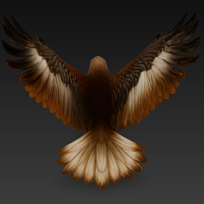 create a majestic and realistic 3d eagle model