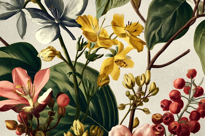 draw animal and botanical illustrations