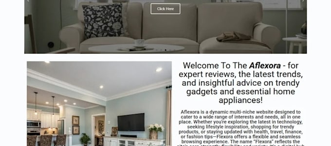 build wordpress websites and business website