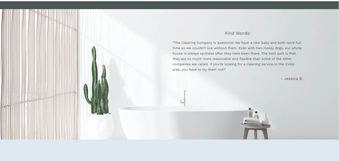 built or customize wordpress website using javascript