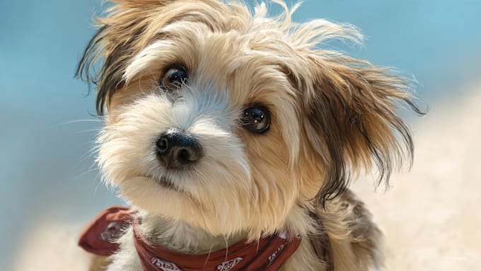 create amazing disney pet portrait