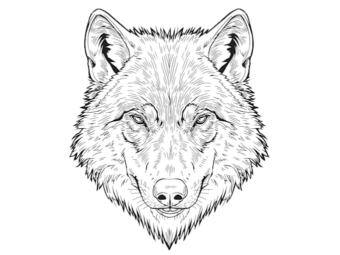 draw your wolf character