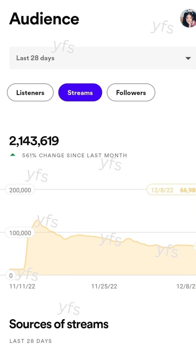 provide professional music streaming marketing