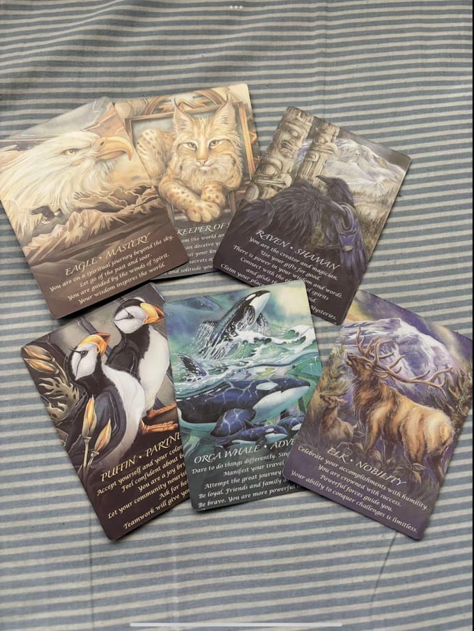 do love tarot reading