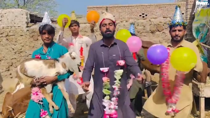 wish happy birthday video or happy birthday video